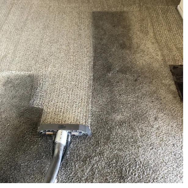 Nettoyage tapis et moquette en profondeur à Saint-Étienne